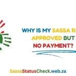 Why is My SASSA R350 Approved but No Payment?