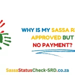 Why is My SASSA R370 Approved but No Payment